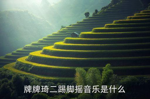 牌牌琦二踢脚摇音乐是什么