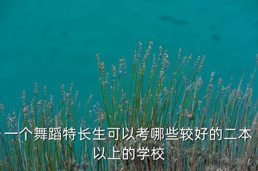 艺考舞蹈生可以考什么大学事，我是舞蹈类考生应该报那些大学