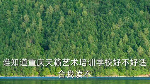 谁知道重庆天籁艺术培训学校好不好适合我读不