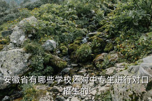 安徽省有哪些学校还对中专生进行对口招生的