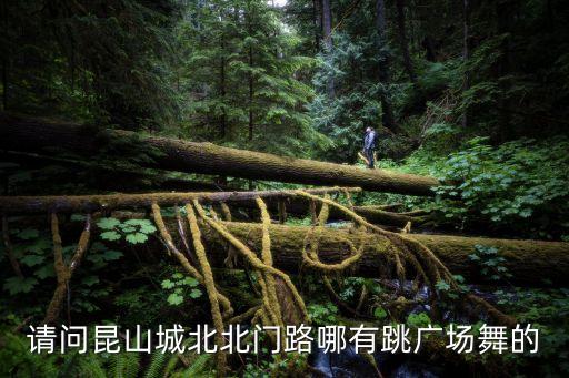 请问昆山城北北门路哪有跳广场舞的