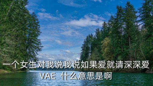一个女生对我说我说如果爱就请深深爱VAE  什么意思是啊