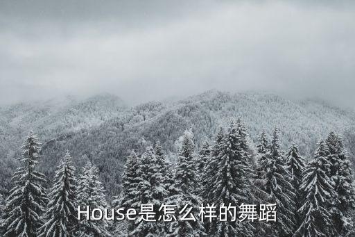 House是怎么样的舞蹈