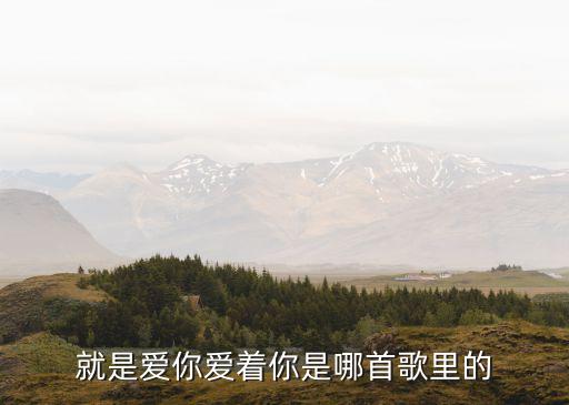 就是爱你爱着你是哪首歌里的