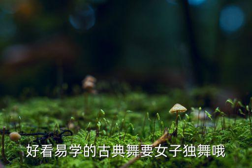 好看易学的古典舞要女子独舞哦