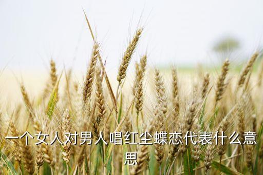 红尘蝶恋表达什么感情，红尘蝶恋这首歌代表什么意思想表达什么意思