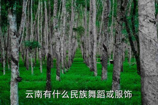 云南有什么舞蹈，彝族经典舞蹈有哪些
