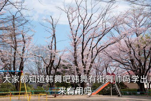 学韩舞有什么用，我想知道学韩舞出来怎样可以当老师