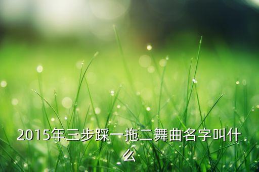 2015年三步踩一拖二舞曲名字叫什么