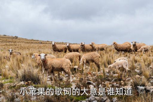 小儿歌小苹果，小苹果原唱