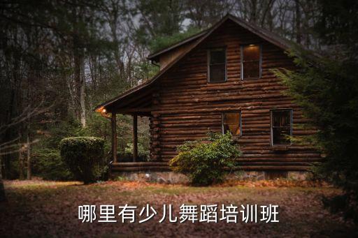 哪里有少儿舞蹈培训班