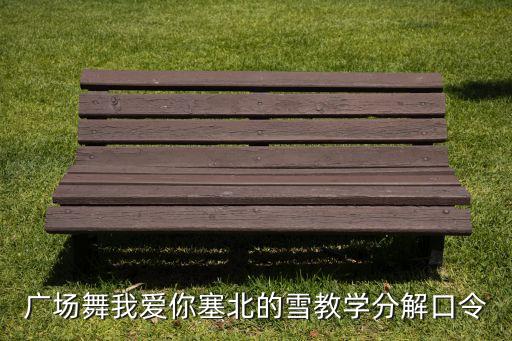 舞曲我爱你塞北的雪，我爱你塞北的雪歌词