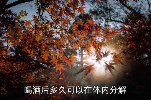 喝酒后多久可以在体内分解