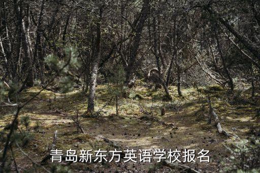 青岛新东方英语学校报名