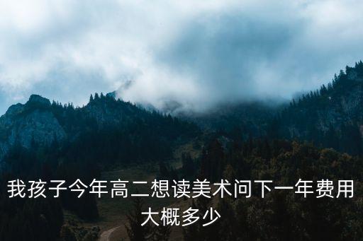 从高二学美术要花多少钱，我孩子今年高二想读美术问下一年费用大概多少