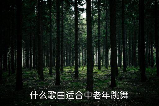 什么歌曲适合中老年跳舞