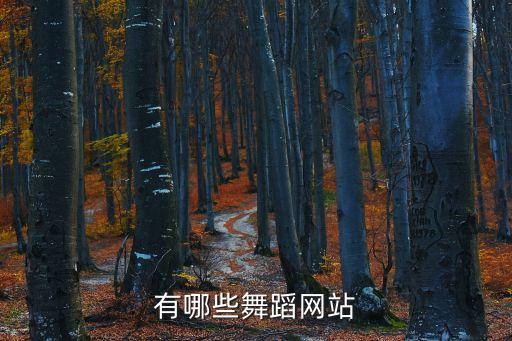 有哪些舞蹈网站