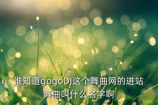 谁知道gogoDJ这个舞曲网的进站舞曲叫什么名字啊
