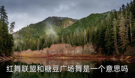 红舞联盟视频怎么下载，谁可以教我把网络视频下载到本地
