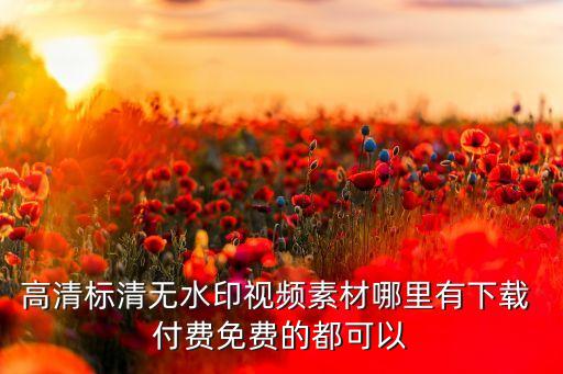 高清标清无水印视频素材哪里有下载 付费免费的都可以