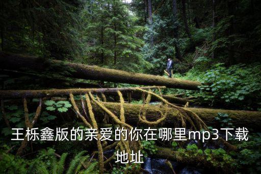 王栎鑫版的亲爱的你在哪里mp3下载地址