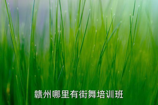 赣州哪里有街舞培训班