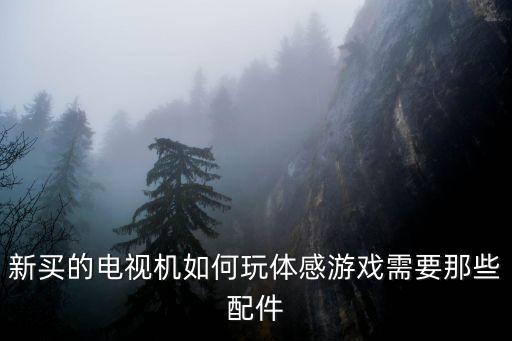 新买的电视机如何玩体感游戏需要那些配件