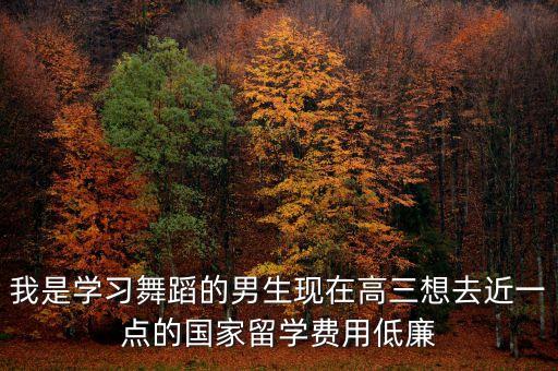 我是学习舞蹈的男生现在高三想去近一点的国家留学费用低廉