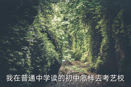初中怎么考艺校要怎么报名，我想初中毕业后去考艺校但是我不知道怎样考艺校