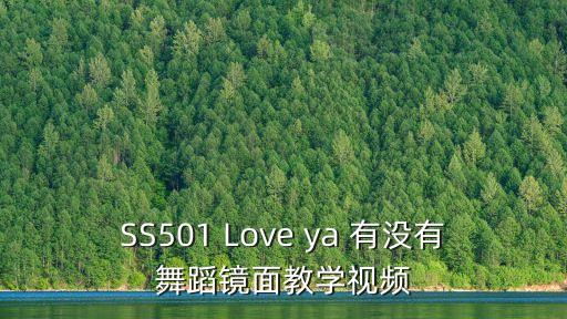 热爱105度的你舞蹈教学视频，求视频HOT we are the future舞蹈教学分解动作