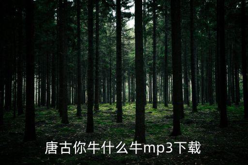 唐古你牛什么牛mp3下载