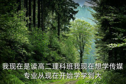 我现在是读高二理科班我现在想学传媒专业从现在开始学学到大
