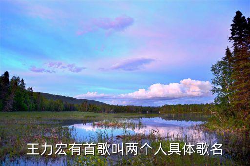 王力宏有首歌叫两个人具体歌名