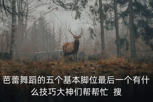 芭蕾舞蹈的五个基本脚位最后一个有什么技巧大神们帮帮忙  搜