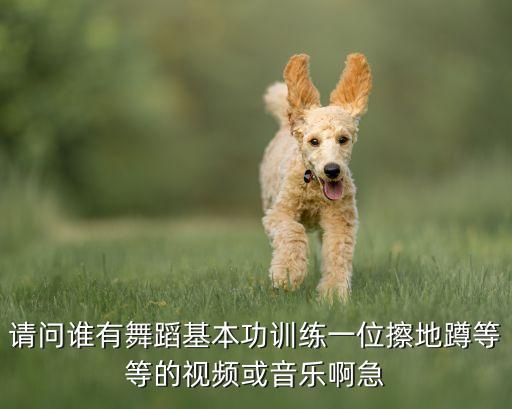 请问谁有舞蹈基本功训练一位擦地蹲等等的视频或音乐啊急
