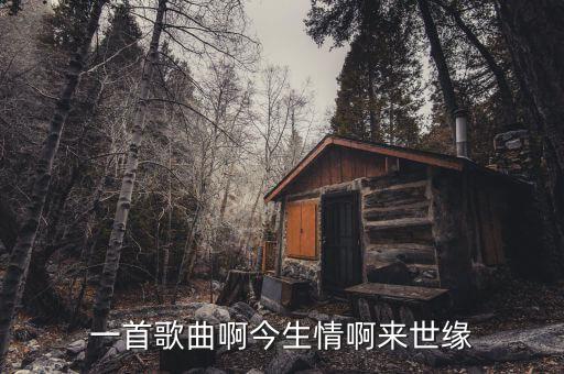 一首歌曲啊今生情啊来世缘