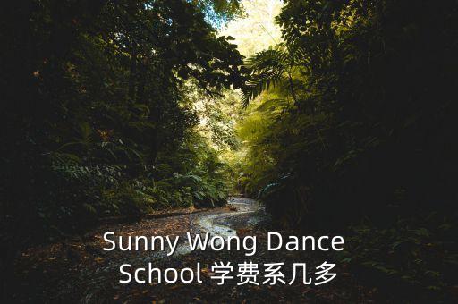 华艺舞蹈学校的收费是多少，东营世纪新星舞蹈学校和华艺舞蹈学校的收费标准是什么那个学校更