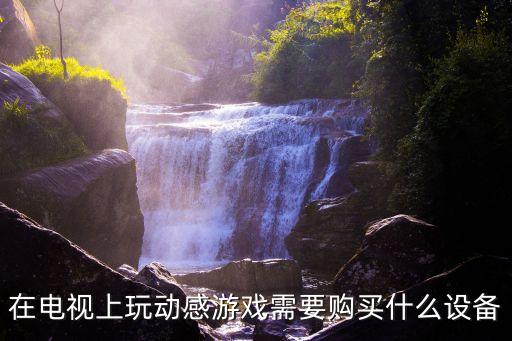 电视机玩体感游戏要哪些东西，新买的电视机如何玩体感游戏需要那些配件