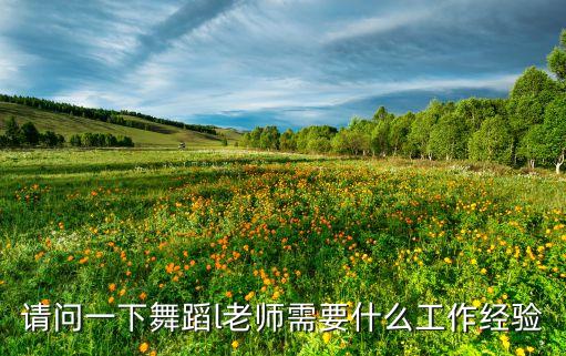 请问一下舞蹈l老师需要什么工作经验