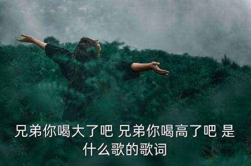 兄弟你喝大了吧 兄弟你喝高了吧 是什么歌的歌词