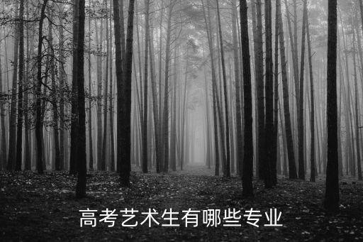 高中艺考有哪些专业2021年，高考艺考类专业有哪些