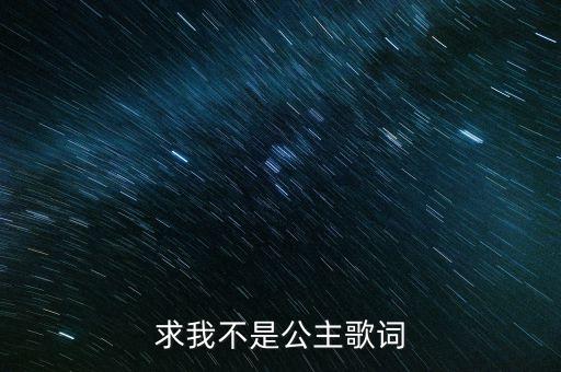 求我不是公主歌词
