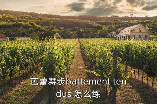 芭蕾舞步怎么走，芭蕾舞者是走路是内八还是外八