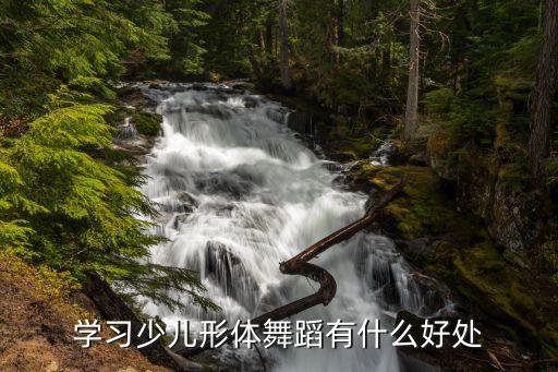 学习少儿形体舞蹈有什么好处