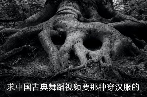 求中国古典舞蹈视频要那种穿汉服的