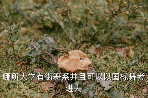 哪所大学有街舞系并且可以以国标舞考进去