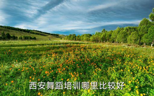 西安舞蹈培训哪里比较好