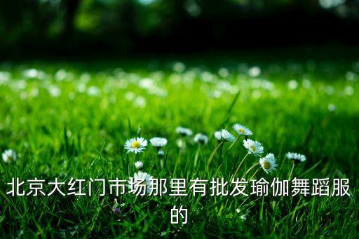北京大红门市场那里有批发瑜伽舞蹈服的