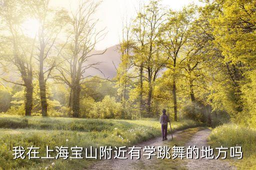 我在上海宝山附近有学跳舞的地方吗