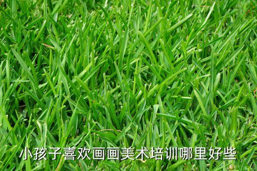 小孩子喜欢画画美术培训哪里好些